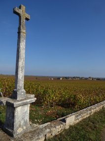 La mer de vignes à Puligny