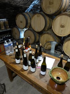 Les vins du domaine