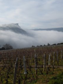 La Roche de Solutré sortant du brouillard