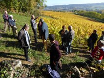 Balade commentée lors des portes ouvertes du domaine Chevrot