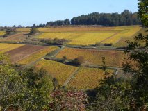 Dans les Hautes-côtes