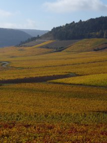 Les premiers crus d'Auxey-Duresses et Monthélie