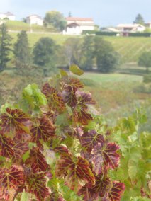 L'automne menace...