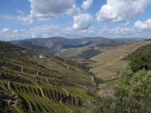 Le Douro, berceau du Porto et ses spectaculaires terrasses 