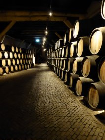 Les caves de Sandeman