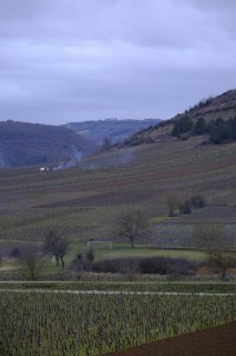 Le lendemain: Auxey-Duresses