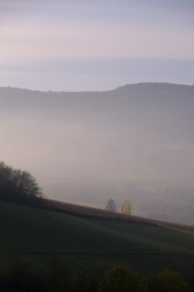 Au soleil en Rémont, Chénas toujours