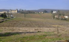 qui réfléchit lui aussi à l'avenir : sa parcelle en agroforesterie en cours de plantation.