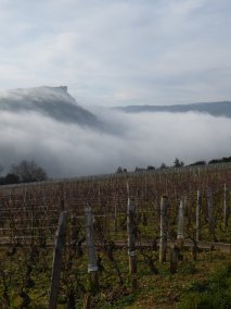 La Roche de Solutré sortant du brouillard